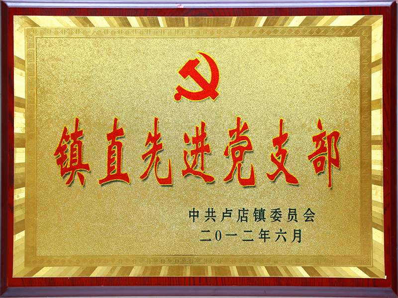 鎮(zhèn)直先進黨支部